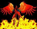 Crimson Phoenix